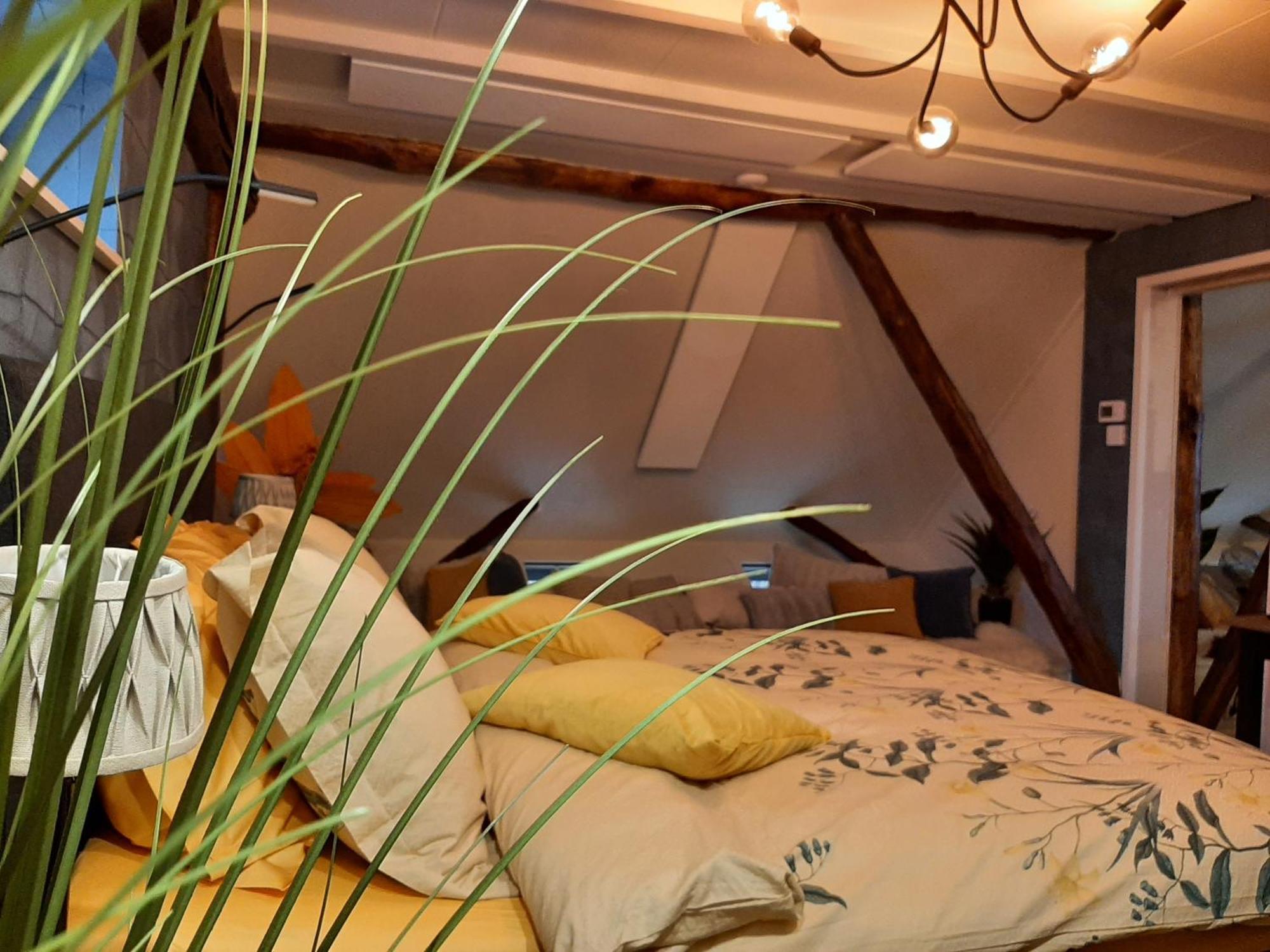 Loft De Hooizolder Met Sauna Bij Te Boeken Gees Ngoại thất bức ảnh